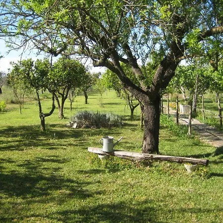 Il Noce * Aradeo