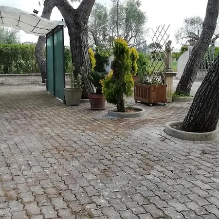 Il Noce
