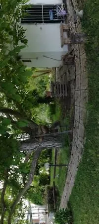 Il Noce