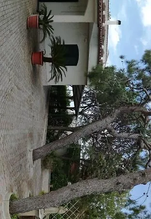 Country house Il Noce Aradeo